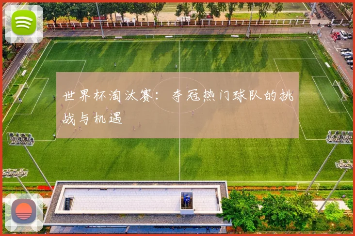 世界杯淘汰赛：夺冠热门球队的挑战与机遇